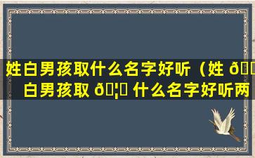 姓白男孩取什么名字好听（姓 🌻 白男孩取 🦆 什么名字好听两个字）